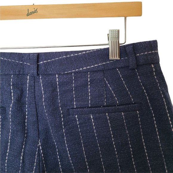 Banana Republic Blue Pinstripe Shorts Pockets size 4 Nautical - Picture 7 of 7